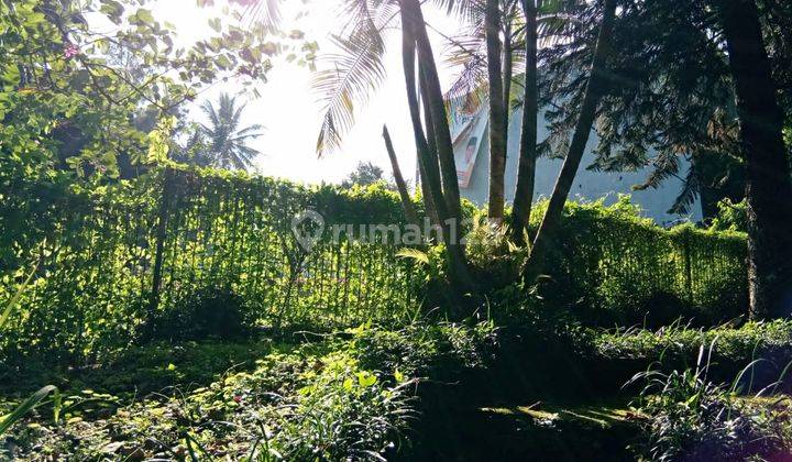 Villa Cocok Untuk Penginapan Atau Restauran Lokasi Pinggir Jalan  5