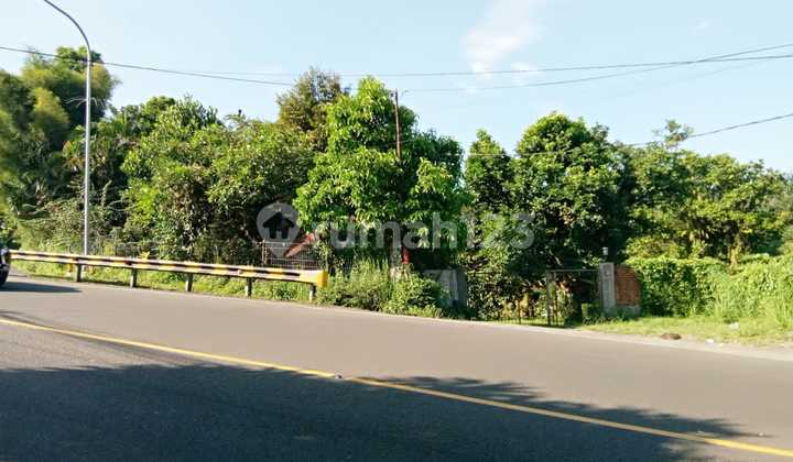 Villa Cocok Untuk Penginapan Atau Restauran Lokasi Pinggir Jalan  7
