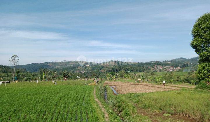Tanah murah 42 Ha Lokasi Taman Bunga Cipanas Cocok Untuk Wisata 3