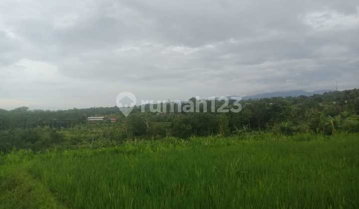 Tanah murah 42 Ha Lokasi Taman Bunga Cipanas Cocok Untuk Wisata 7