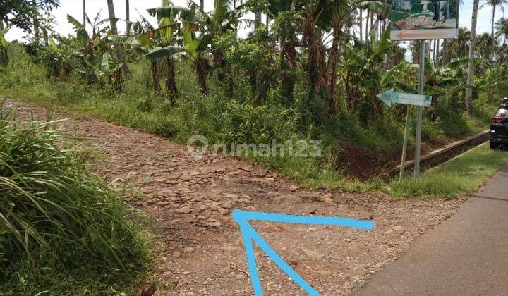 Tanah Murah 10 Ha Sampe 15 Ha Lokasi Jampang Ciomas 1