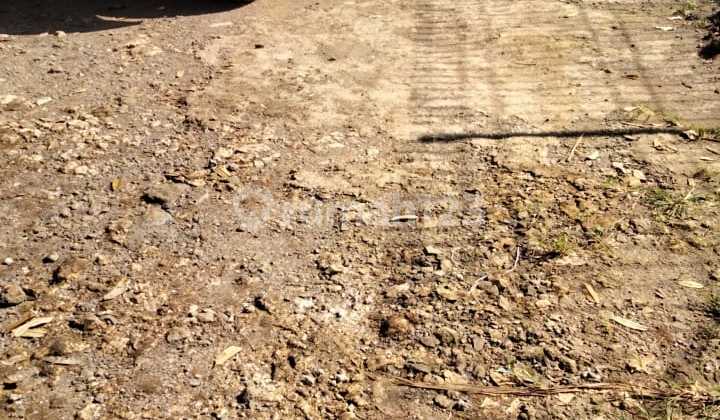 Tanah 10 Ha Cocok Untuk Resort Udara Dingin Di Lewisapi Cimande  3