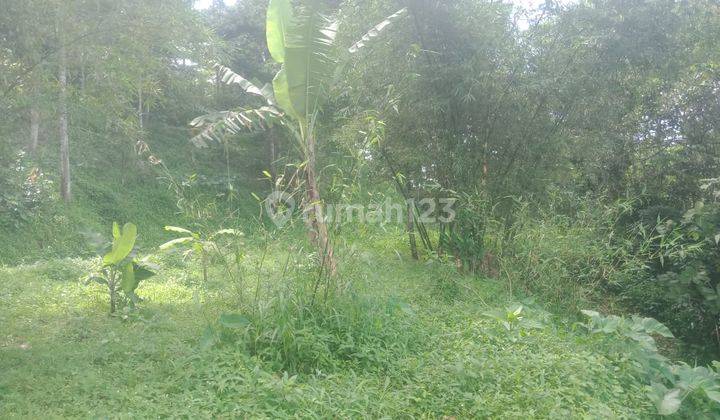 Jual Tanah 1 Hekatr Lokasi Ciamande Hilir Shm Dekat Jalan Raya 3