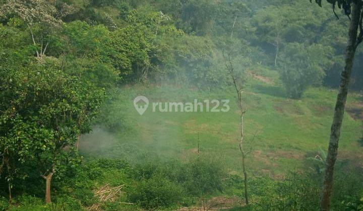 Jual Tanah 1 Hekatr Lokasi Ciamande Hilir Shm Dekat Jalan Raya 7