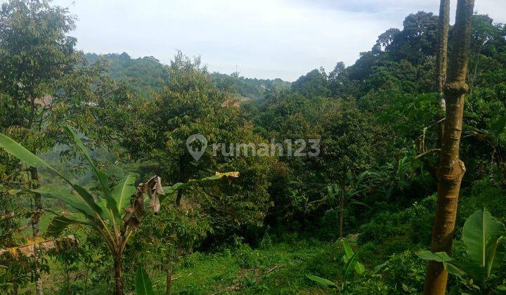 Jual Tanah 1 Hekatr Lokasi Ciamande Hilir Shm Dekat Jalan Raya 8
