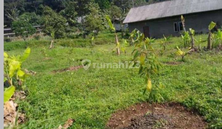 Di Jual Tanah Kebun Peternakan Kambing Di Cipelang Cijeruk Bogor 16