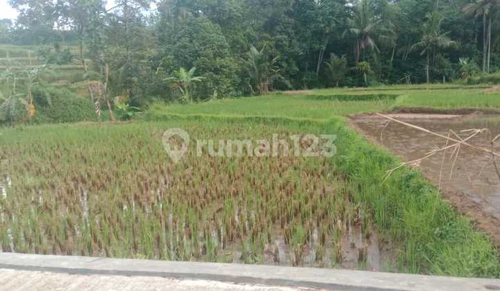 Tanah Datar Pinggir Kali Cocok Untuk Persawahan Villa Inbestasi 1