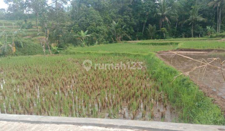 Tanah Datar Pinggir Kali Cocok Untuk Persawahan Villa Inbestasi 8