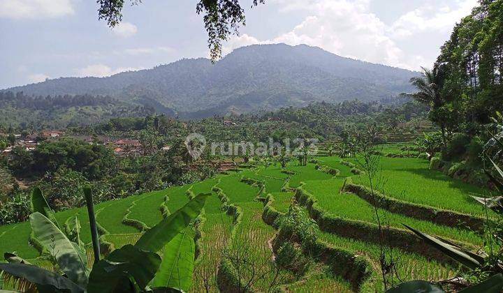 Di Jual Villa Kebun Sawah Pemandangan Pegunungan Cicurug Cidahu 1