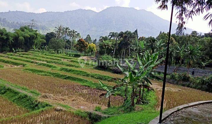 Di Jual Villa Kebun Sawah Pemandangan Pegunungan Cicurug Cidahu 14