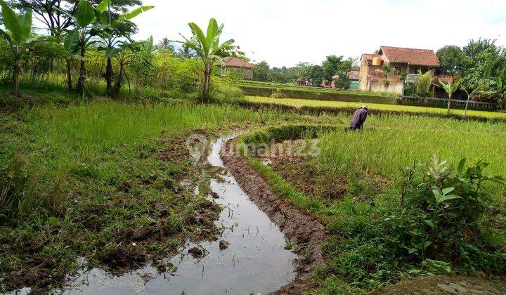 Tanah Shm Villa Dan Resosrt Cottage Di Bawah Kaki Gunung Salak 5