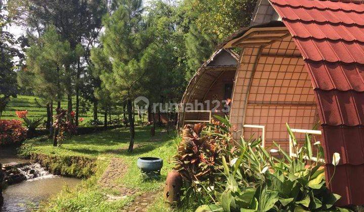 Tanah Shm Villa Dan Resosrt Cottage Di Bawah Kaki Gunung Salak 9