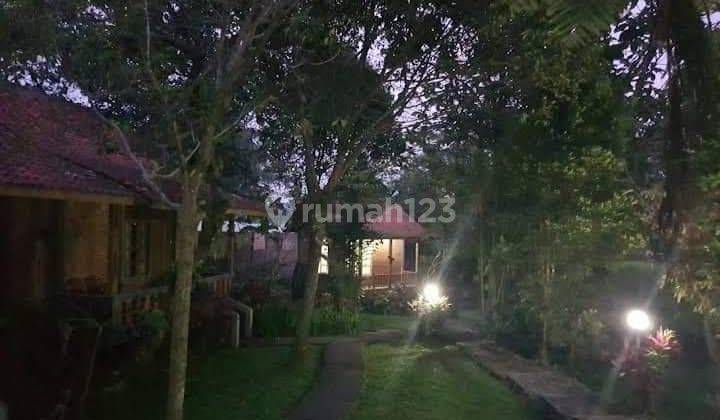 Tanah Shm Villa Dan Resosrt Cottage Di Bawah Kaki Gunung Salak 13