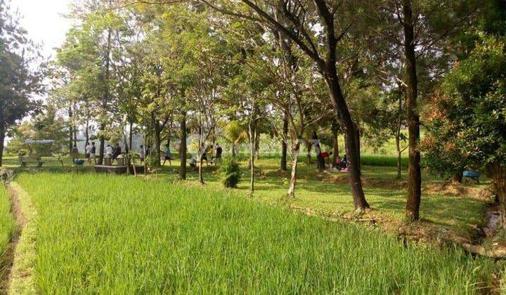 Tanah Shm Villa Dan Resosrt Cottage Di Bawah Kaki Gunung Salak 16