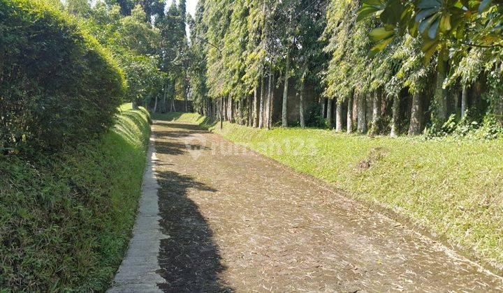 Tanah 12.298 m bonus Villa Cuma 5jt per meter lokasi katulampa 6