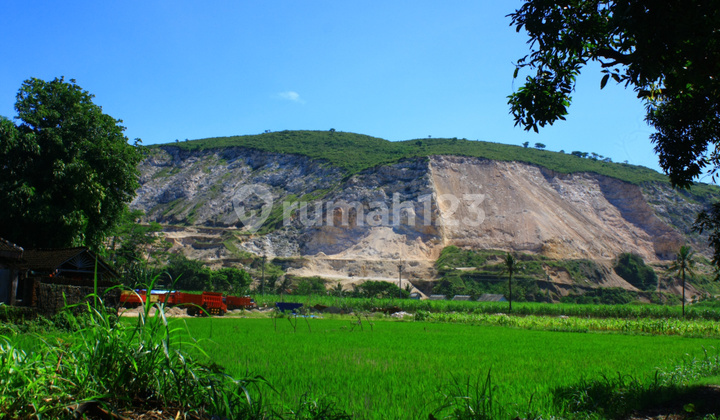 Di Jual Pabrik Semen Terbesar Di Jawa Timur Jember 1,5 Triliun 5
