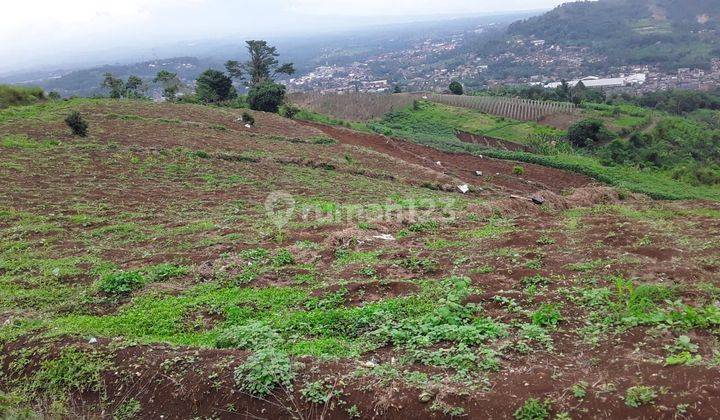 Tanah Produktif 100 Hektar Sukabumi Cibadak Lokasi Sukabumi 1