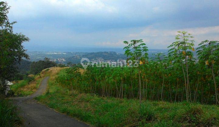 Tanah Produktif 100 Hektar Sukabumi Cibadak Lokasi Sukabumi 2