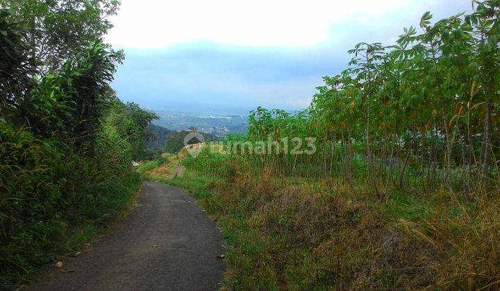 Tanah Produktif 100 Hektar Sukabumi Cibadak Lokasi Sukabumi 3