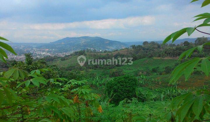 Tanah Produktif 100 Hektar Sukabumi Cibadak Lokasi Sukabumi 5