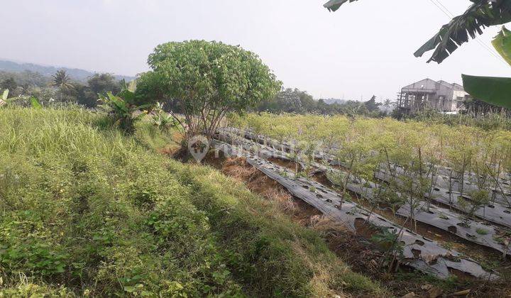 Tanah Cocok Untuk Pertanian di Nyalindung , Sukabumi SHM 71 Ha 5