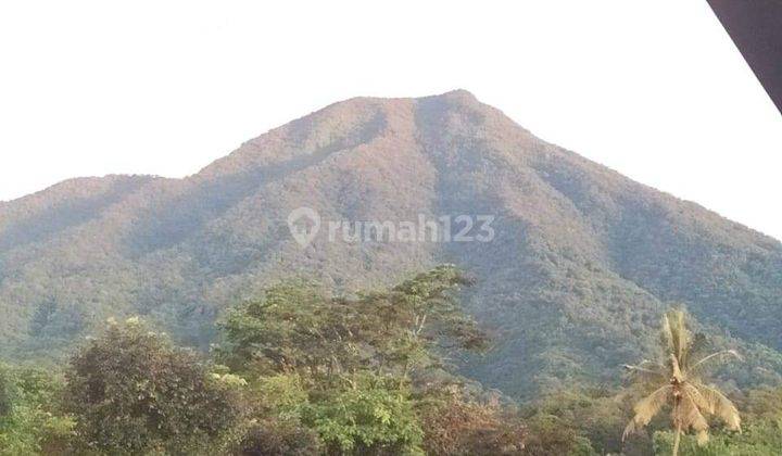Di Jual Villa Kebun Bunga Kebun Sayur Mayur Dan Kebun Buah Buahan 5