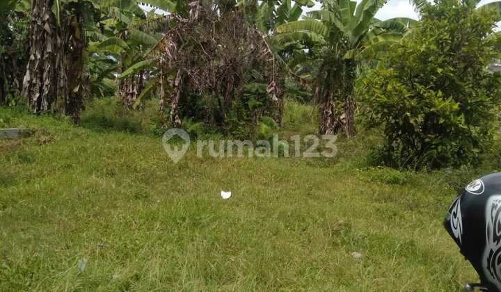Tanah Murah Siap Bangun Di Gadog Pandansari Ciawi Bogor 4