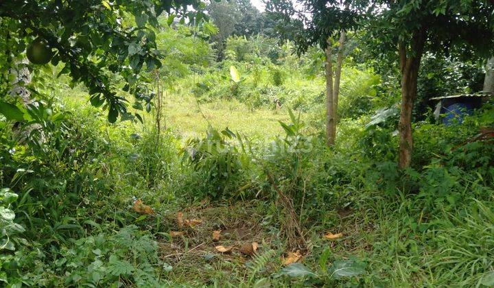 Tanah Murah Siap Bangun Di Gadog Pandansari Ciawi Bogor 9