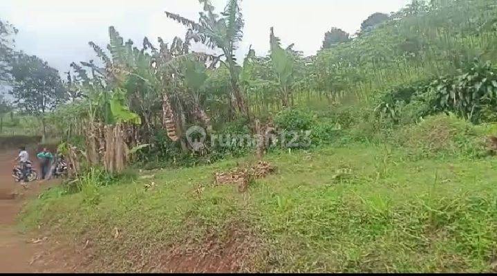Tanah Murah Lokasi Strategis Dekat Dengan Pasar Cicurug Sukabumi 3