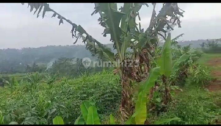 Tanah Murah Lokasi Strategis Dekat Dengan Pasar Cicurug Sukabumi 5