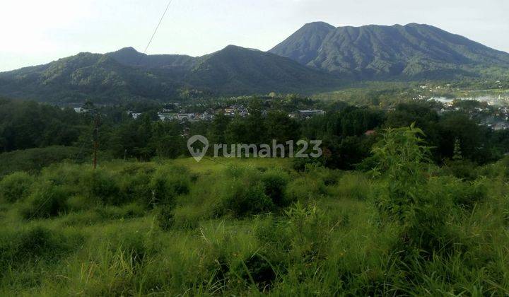 Tanah Murah Puncak 2 Hektar Cuma 800rb Nego 1