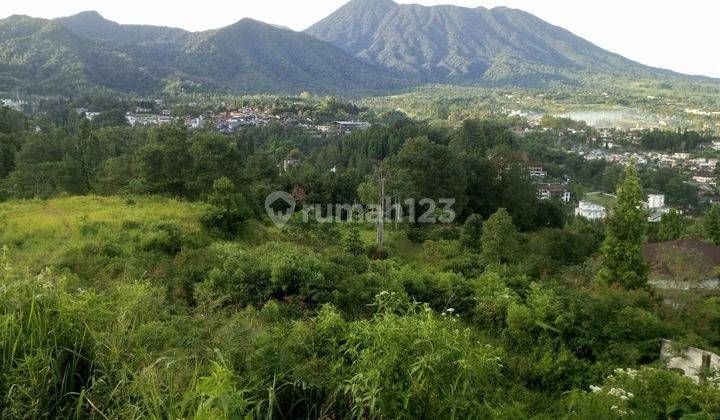 Tanah Murah Puncak 2 Hektar Cuma 800rb Nego 2