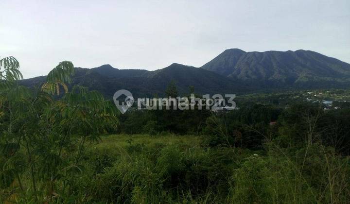 Tanah di Ciburial Cisarua, Bogor SHM 1 Ha 900 Ribu Juat Butuh 2