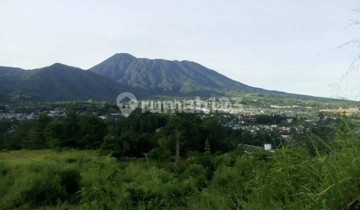 Tanah di Ciburial Cisarua, Bogor SHM 1 Ha 900 Ribu Juat Butuh 1