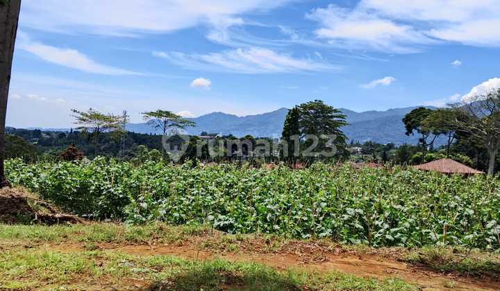 Tanah Jual Rugi 800 Meter Hanya 300 Juta Jl Alternatif Puncak Tanah Jual Rugi 800 Meter Hanya 300 Juta Jl Alternatif Puncak