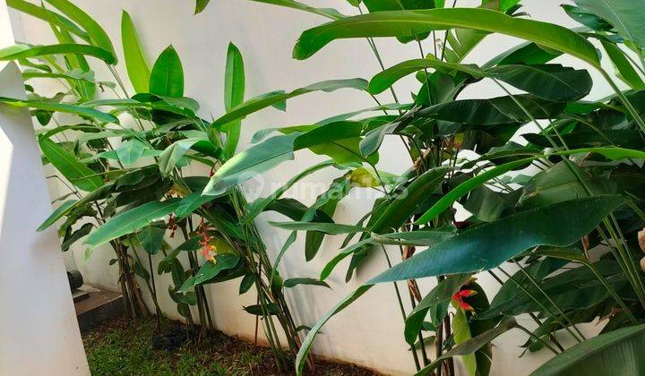 kolam renang dijual rumah di pinang ranti