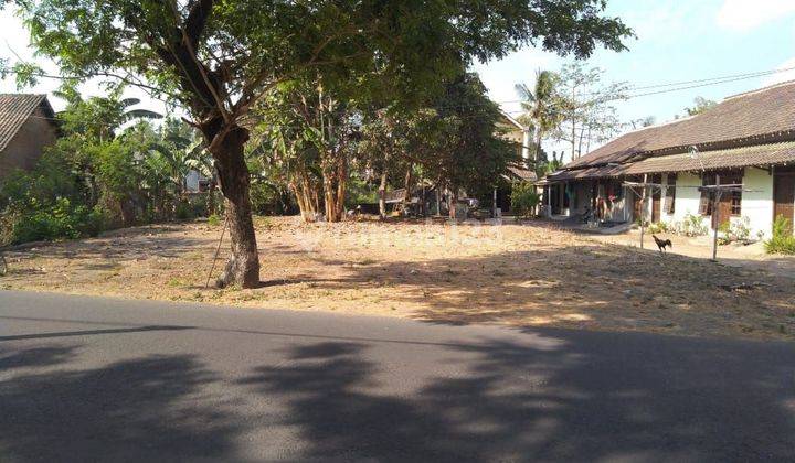 DIJUAL TANAH PEKARANGAN DI SELATAN UPY 612 m² 1