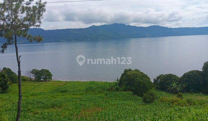 Tanah 1,5 H Status Shm View Langsung Danau Toba Langsung 1