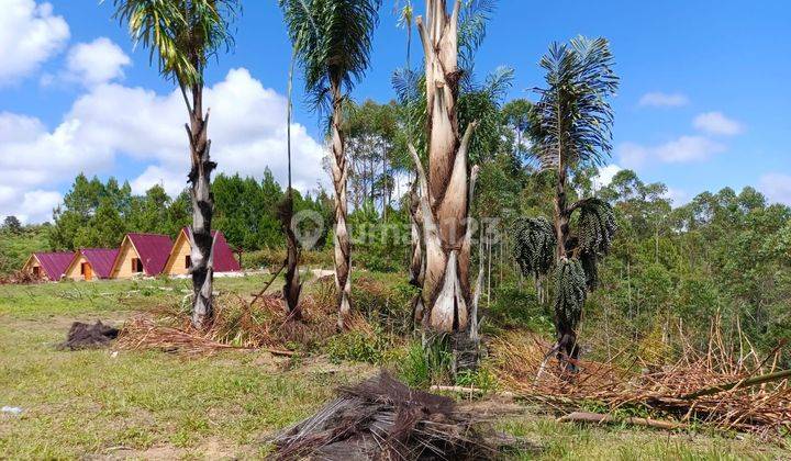 Tanah Sudah Di Bangun Homestay Di Dekat Danau Toba 2