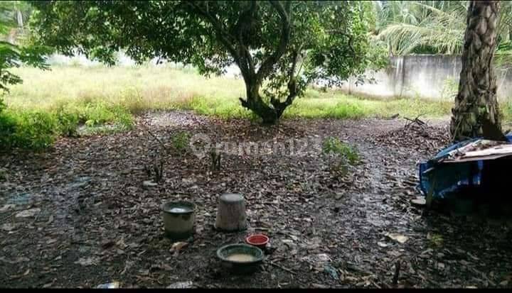 Rumah siap huni, rumah murah,  tanah luas pagar tembok keliling 14