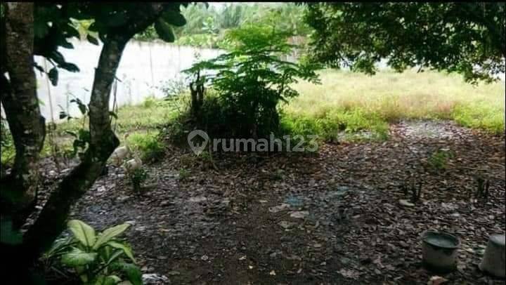 Rumah siap huni, rumah murah,  tanah luas pagar tembok keliling 16