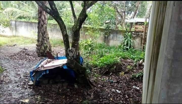 Rumah siap huni, rumah murah,  tanah luas pagar tembok keliling 15
