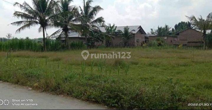 Dijual tanah datar didaerah bandar kalifah kec deliserdang 1