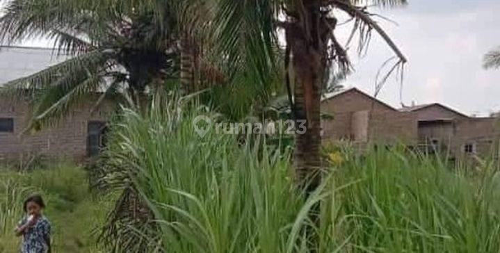 Dijual tanah datar didaerah bandar kalifah kec deliserdang 2