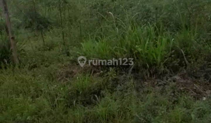 Dijual tanah kaplingan sudah memiliki IMB & SHM di delitua 1