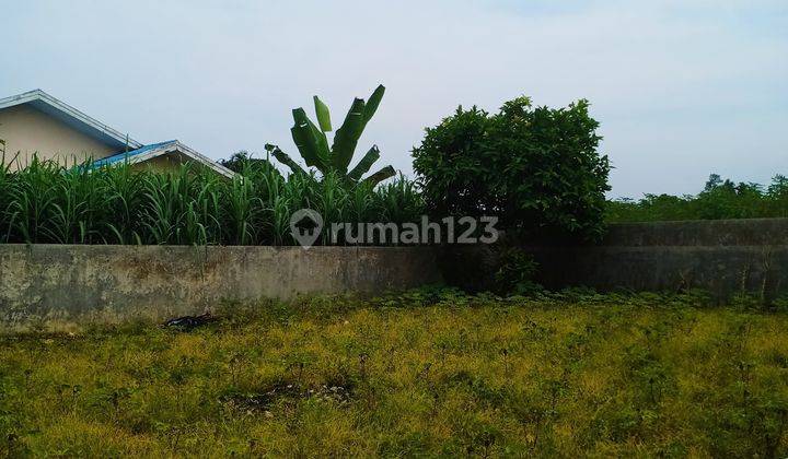 Tanah kaplingan dengan ukuran 198m² Ramai Penduduk 2