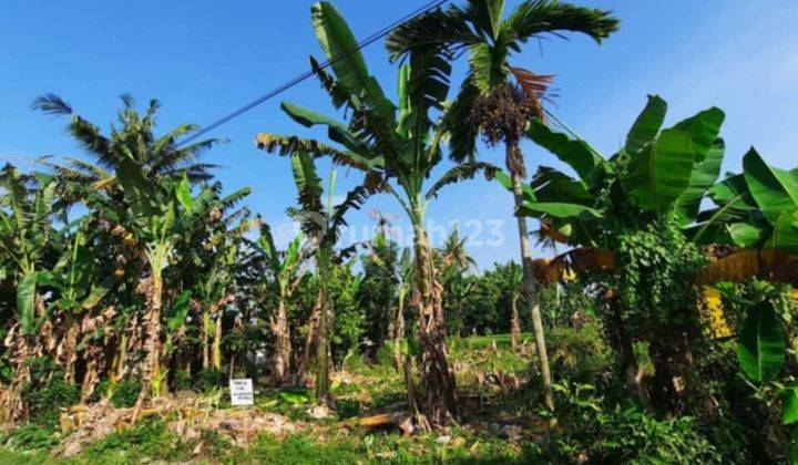 Tanah datar di daerah tembung cocok untuk invest 2