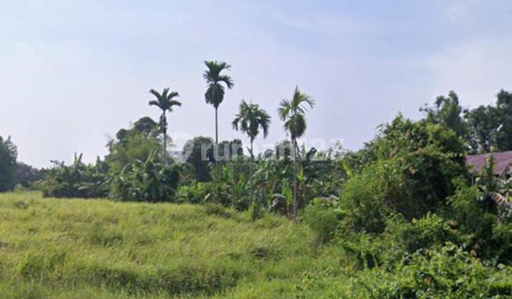 Flat Land Along the Edge of Lau Dendang Regional Road. Flat Land Along the Edge of Lau Dendang Regional Road.