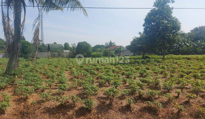 Kawasan Rumah Kebun Parung Hijau 2 Tajur Halang, 3 Km Dari Jl Parung Bogor, Dekat Rencana Tol Parung Cibinong 2