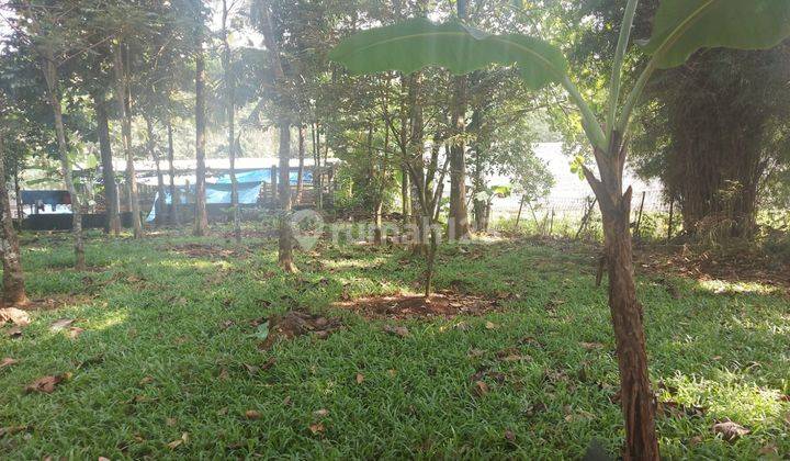 Kawasan Rumah Kebun Parung Hijau 2 Tajur Halang, 3 Km Dari Jl Parung Bogor, Dekat Rencana Tol Parung Cibinong 2